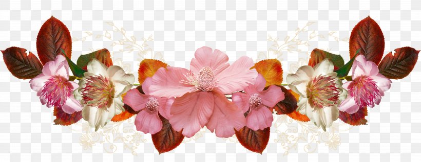 Petal Floral Design Pink M Flowering Plant, PNG, 4300x1665px, Petal, Blossom, Branch, Branching, Flora Download Free