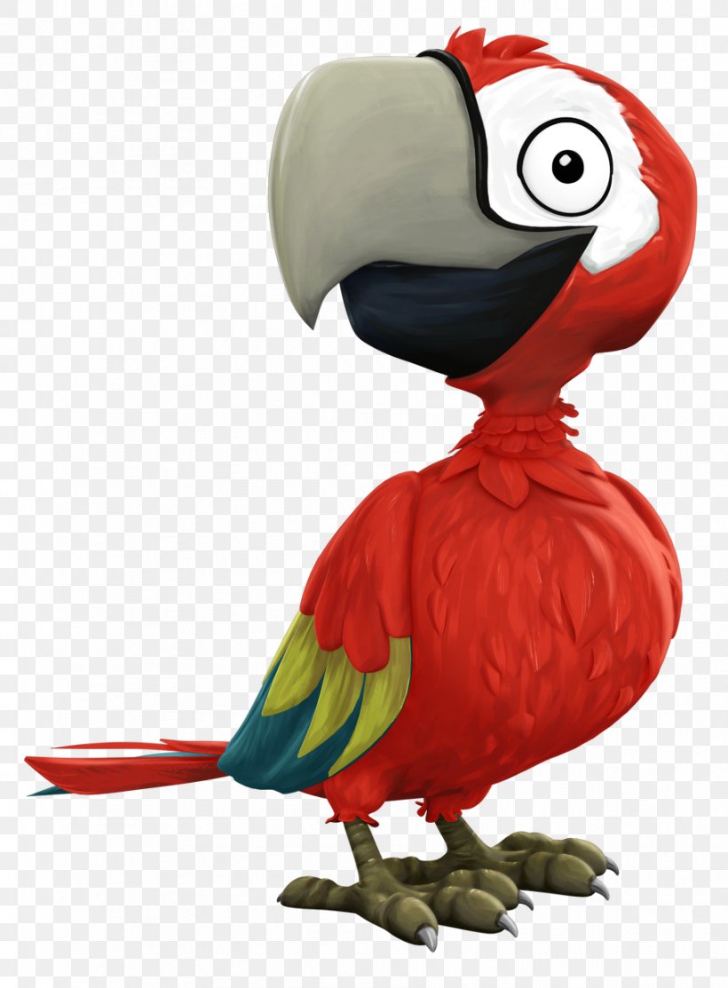 Piracy Macaw Privateer France.tv Nos Voisins Les Pirates, PNG, 907x1232px, Watercolor, Cartoon, Flower, Frame, Heart Download Free