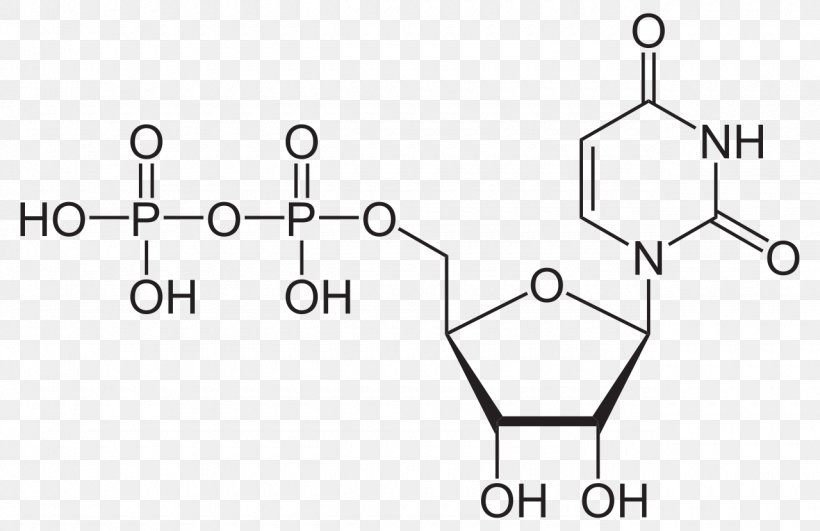 Uridine Triphosphate Nucleotide Uridine Diphosphate Uridine Monophosphate, PNG, 1280x830px, Watercolor, Cartoon, Flower, Frame, Heart Download Free