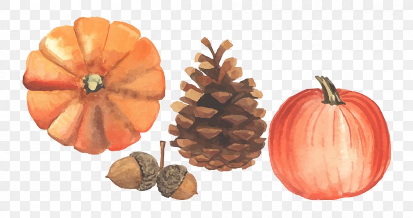 Autumn Illustration, PNG, 1051x557px, Autumn, Calabaza, Cucurbita, Fruit, Gourd Download Free