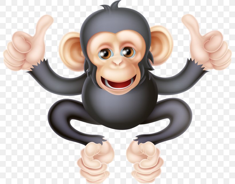 Chimpanzee Ape Primate Cartoon, PNG, 800x640px, Chimpanzee, Ape, Cartoon, Finger, Hand Download Free