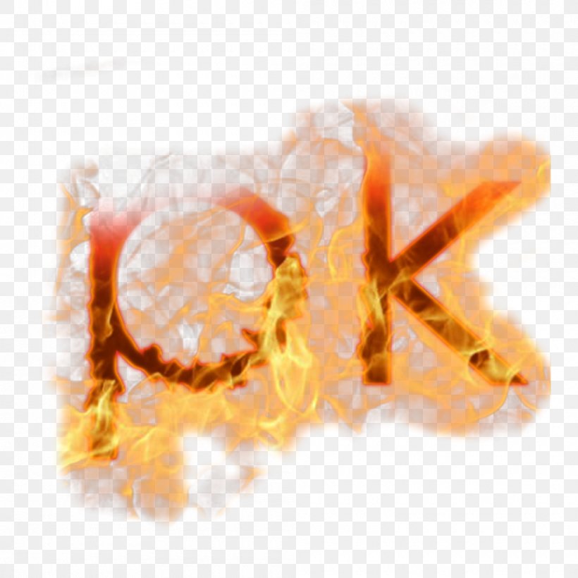 Fire PK Text, PNG, 1000x1000px, Watermark, Computer Software, Orange, Organism, Raster Graphics Download Free