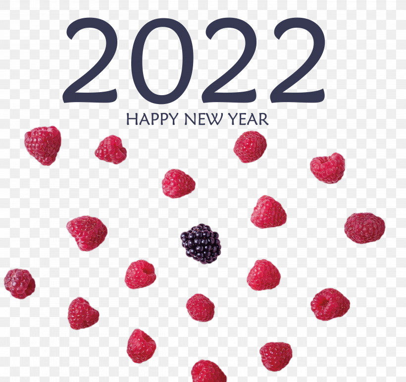 Happy New Year, PNG, 5000x4703px, Happy New Year, Christmas Day, Holiday, New Year, New Years Day Download Free