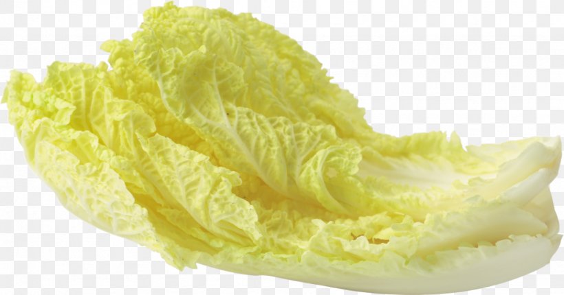 Leaf Vegetable Salad, PNG, 1024x537px, Leaf Vegetable, Butterhead Lettuce, Chinese Cabbage, Endive, Food Download Free