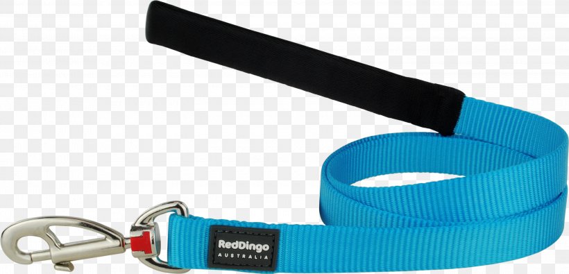 Leash Dingo Dog Puppy Cat, PNG, 3000x1446px, Leash, Auto Part, Cat, Collar, Color Download Free