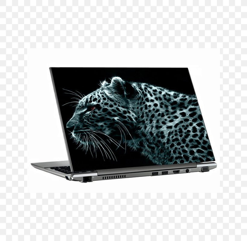 Leopard Desktop Wallpaper Felidae Cheetah Wallpaper, PNG, 800x800px, 5k Resolution, Leopard, Big Cats, Brand, Cheetah Download Free