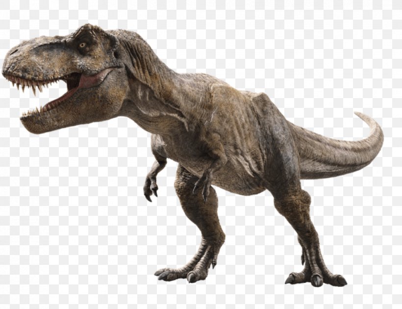 Universal Pictures Tyrannosaurus Jurassic Park Film Post-credits Scene, PNG, 1019x784px, Universal Pictures, Adventure Film, Dinosaur, Extinction, Fauna Download Free