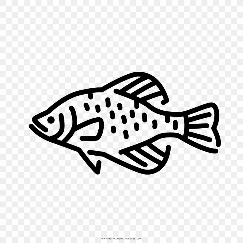Black Crappie Freshwater Fish Fresh Water Clip Art, PNG, 1000x1000px, Black Crappie, Area, Art, Black, Black And White Download Free