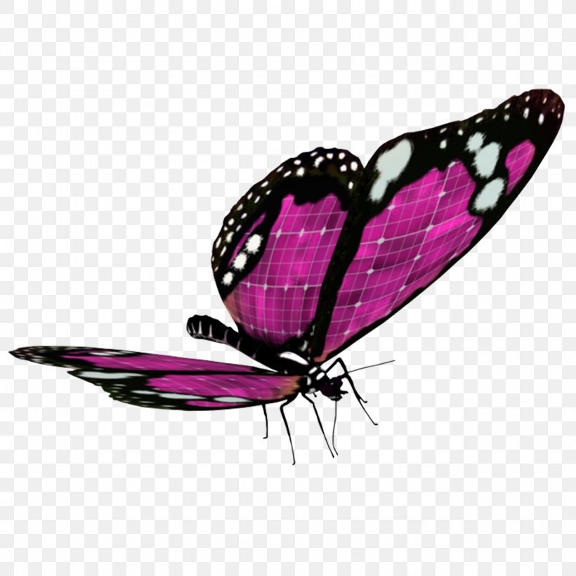 Butterfly Clip Art, PNG, 1280x1280px, Butterfly, Aglais Io, Arthropod, Blog, Brush Footed Butterfly Download Free
