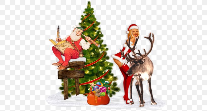 Christmas Ornament Santa Claus Mrs. Claus Reindeer, PNG, 600x443px, Christmas Ornament, Christmas, Christmas Card, Christmas Decoration, Deer Download Free