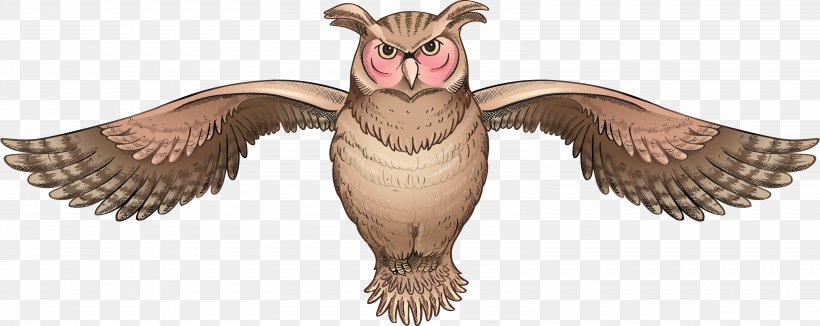 Bird Of Prey Owl Clip Art, PNG, 6420x2554px, Bird, Animal, Animal Figure, Beak, Bird Of Prey Download Free