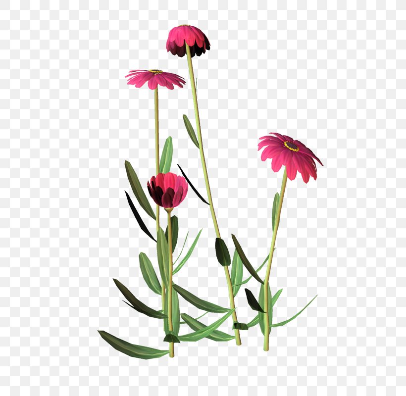 Cut Flowers Tulip Clip Art, PNG, 532x800px, Flower, Cut Flowers, Flora, Floral Design, Floristry Download Free