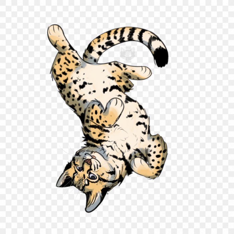 Leopard Cat Cheetah Jaguar Dog, PNG, 894x894px, Leopard, Big Cats, Canidae, Carnivoran, Cat Download Free