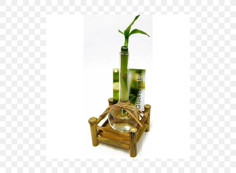 Lucky Bamboo Houseplant Vase Evergreen, PNG, 800x600px, Lucky Bamboo, Bamboo, Brass, Consumer, Evergreen Download Free