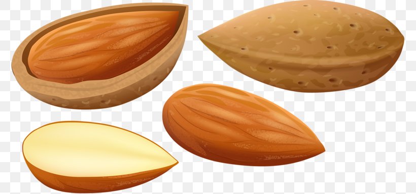 Nut Apricot Kernel Cartoon, PNG, 800x383px, Nut, Almond, Apricot, Apricot Kernel, Cartoon Download Free