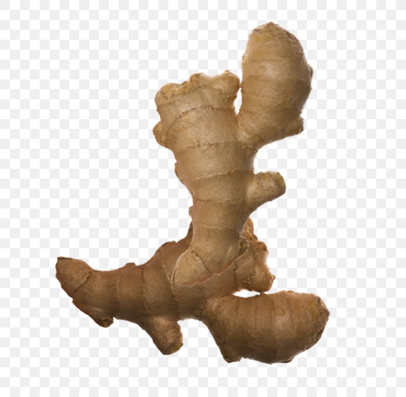 Ginger Root Vegetables Spice, PNG, 600x800px, Ginger, Condiment, Definition, Food, Galangal Download Free