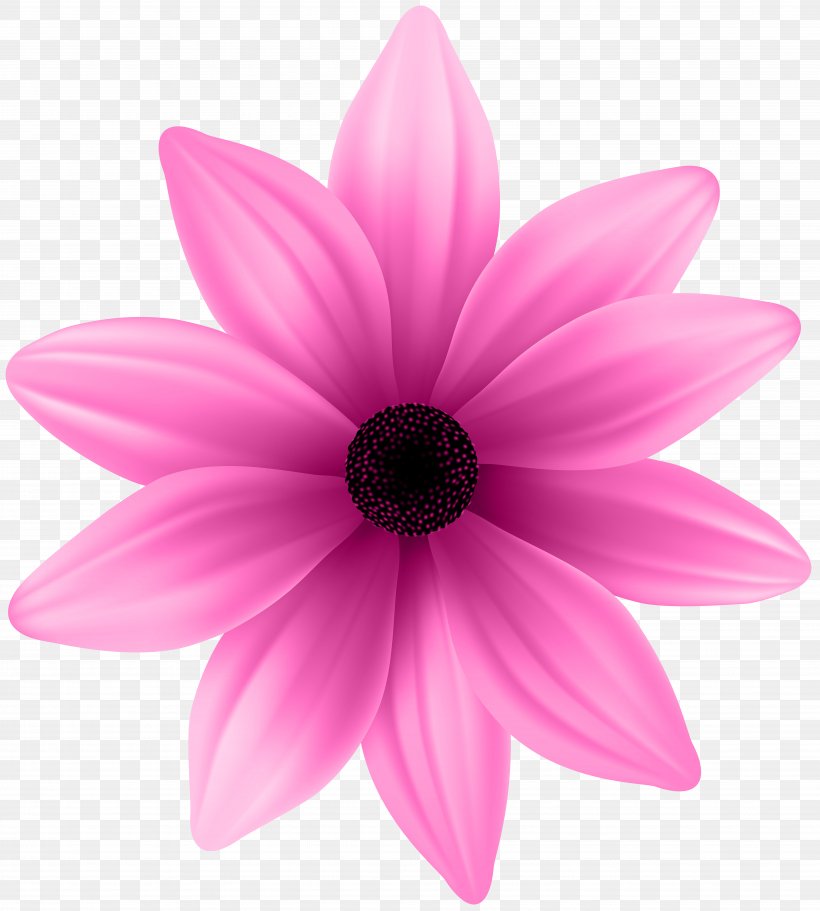 Pink Clip Art, PNG, 7197x8000px, Flower, Close Up, Com, Dahlia, Daisy Family Download Free