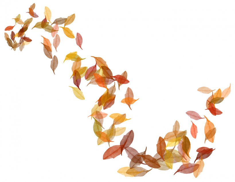 Autumn Leaf Color Clip Art, PNG, 1400x1085px, Leaf, Autumn, Autumn Leaf Color, Color, Drawing Download Free
