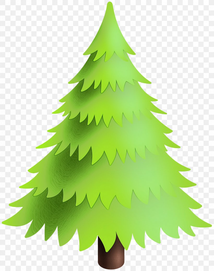 Christmas Tree, PNG, 2364x3000px, Watercolor, Christmas Decoration, Christmas Tree, Colorado Spruce, Evergreen Download Free