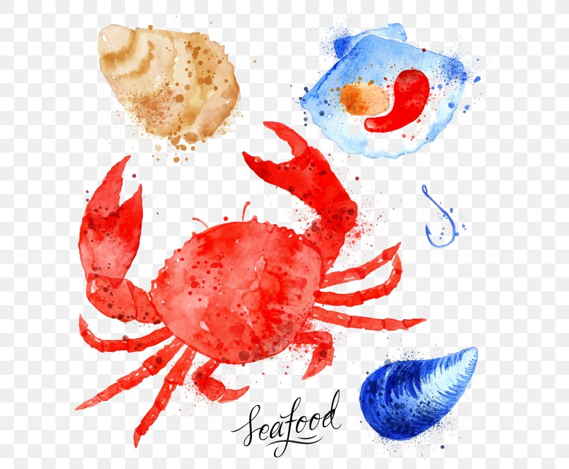 Crab Watercolor Painting Marine Biology Illustration, PNG, 603x676px, Crab, Art, Cartoon, Decapoda, Drawing Download Free