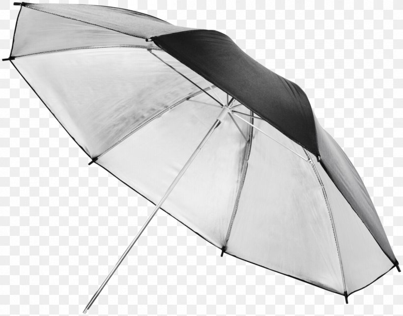 Light Umbrella Softbox Silver Reflector, PNG, 1200x941px, Light, Camera Flashes, Color, Fashion Accessory, Gold Download Free