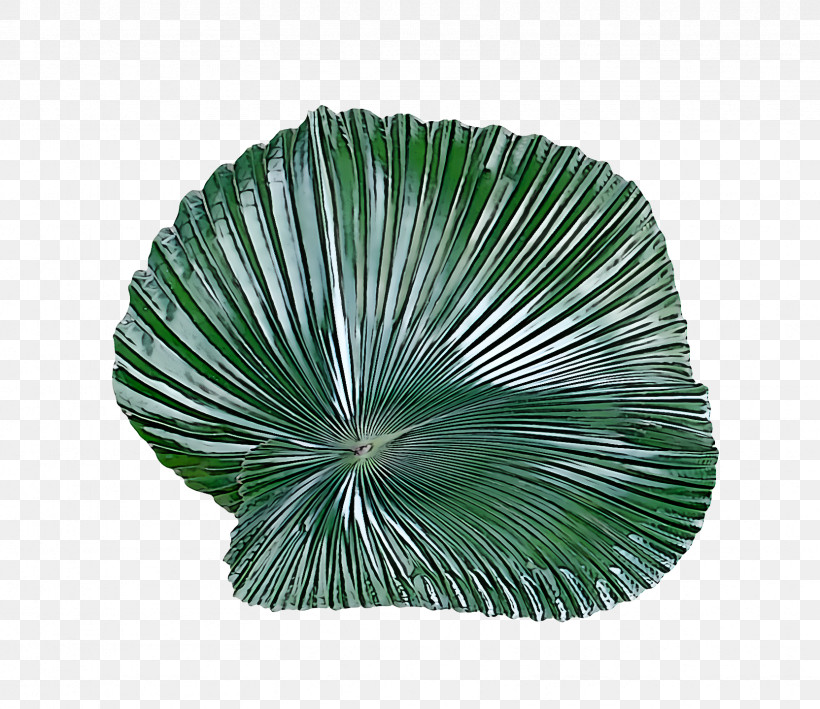 Palm Trees, PNG, 1664x1440px, Leaf, Branch, Fern, Monstera, Oak Download Free