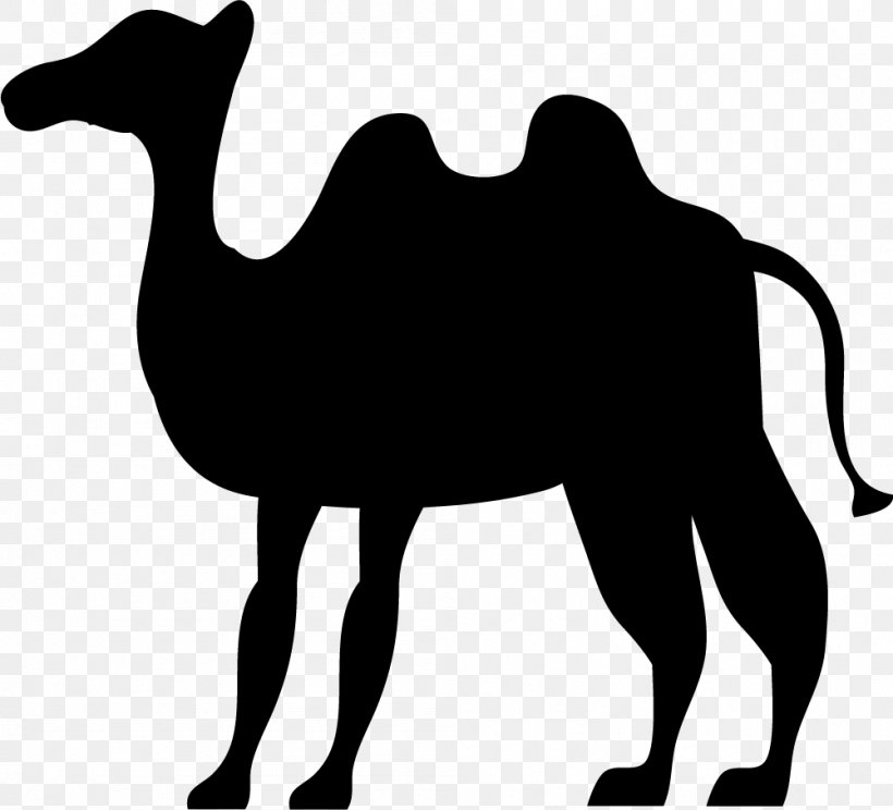 Camel Eid Al-Adha Clip Art, PNG, 1001x909px, Camel, Black, Black And White, Camel Like Mammal, Eid Aladha Download Free