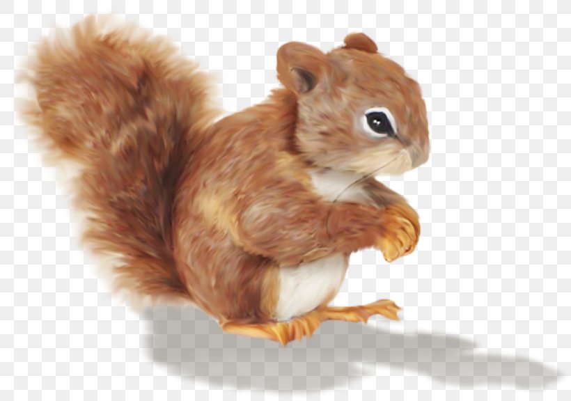 Chipmunk Squirrel Cartoon Clip Art, PNG, 1024x720px, Chipmunk, Animal, Cartoon, Cuteness, Drawing Download Free
