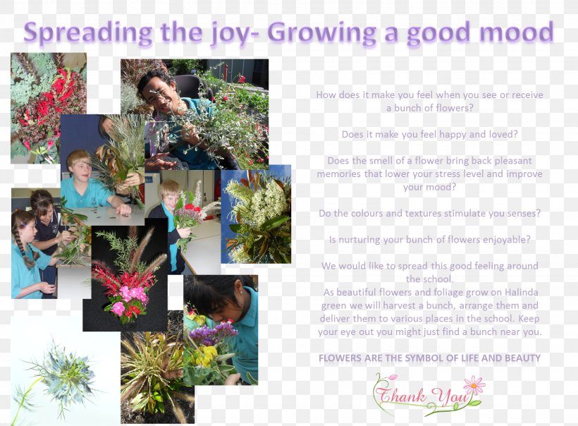Floral Design Brochure Flower Tree, PNG, 1538x1133px, Floral Design, Brochure, Flora, Flower, Flower Arranging Download Free