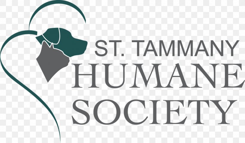Houston Humane Society Dog Animal Shelter, PNG, 1099x641px, Houston, Animal, Animal Rescue Group, Animal Shelter, Area Download Free