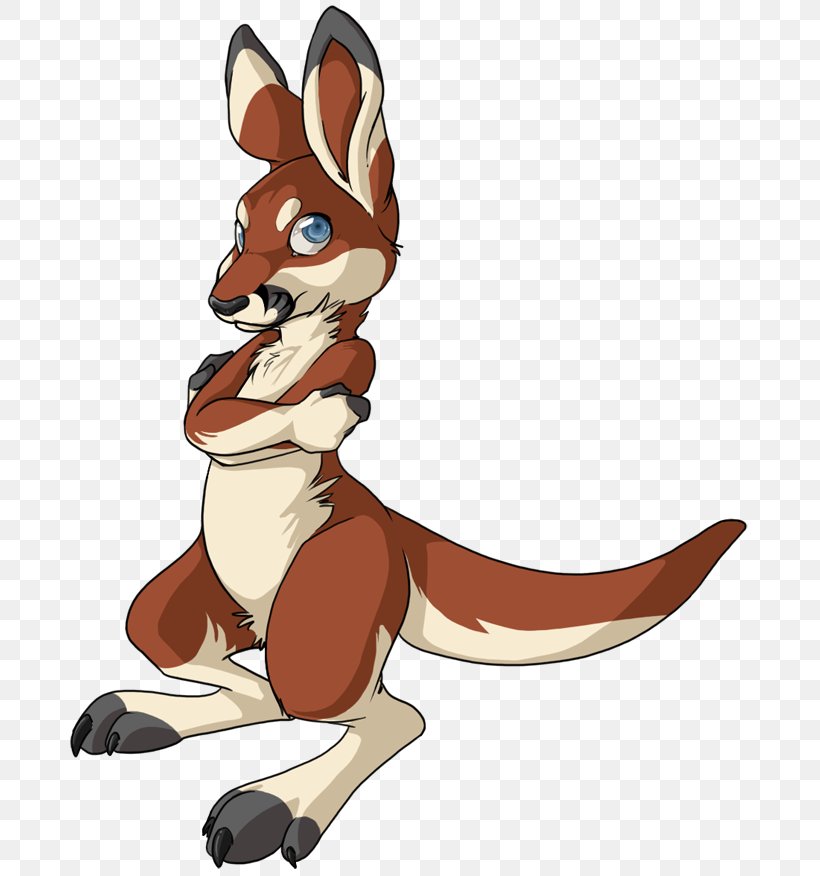 Kangaroo Red Fox Macropodidae Dog Canidae, PNG, 706x876px, Kangaroo, Canidae, Carnivoran, Cartoon, Dog Download Free