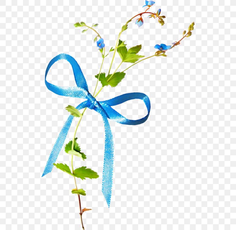 Blue Ribbon Blue Ribbon Color, PNG, 534x800px, Blue, Blue Ribbon, Branch, Color, Cut Flowers Download Free