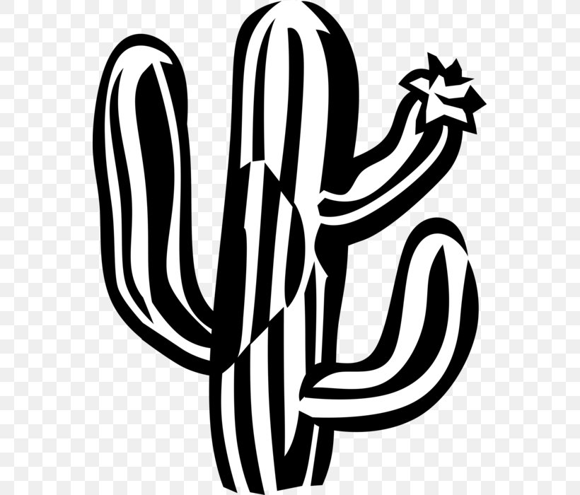 Clip Art Black And White Vector Graphics Image Illustration, PNG, 557x700px, Black And White, Artwork, Cactus, Calligraphy, Flower Download Free
