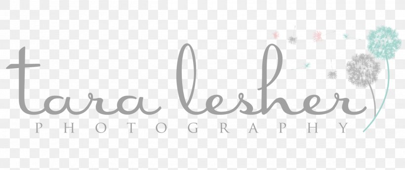 Logo Brand Line Angle Font, PNG, 2500x1050px, Logo, Area, Brand, Calligraphy, Rectangle Download Free