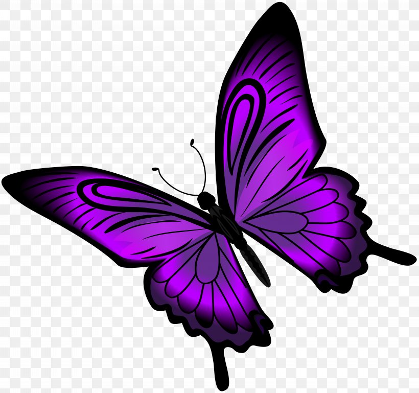 Purple Butterfly Clip Art, PNG, 8000x7512px, Butterfly, Brush Footed Butterfly, Butterflies And Moths, Drawing, Greta Oto Download Free