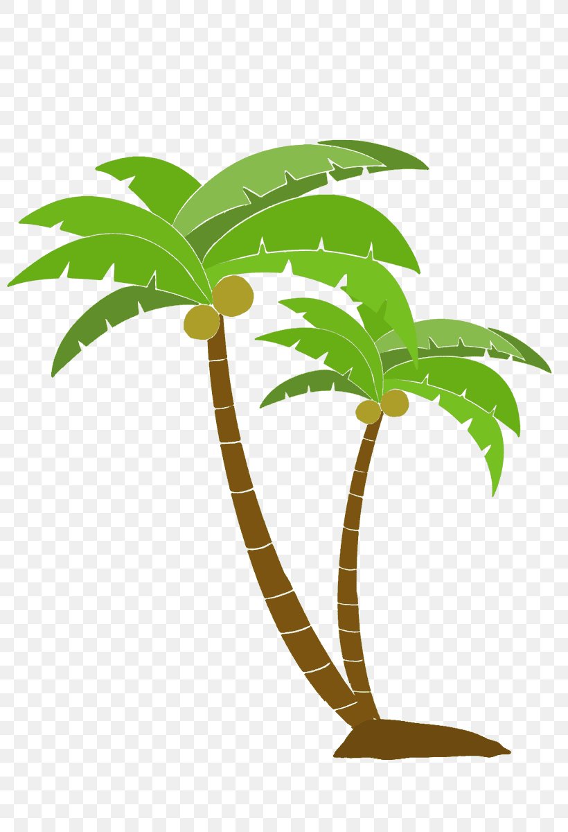 Arecaceae Tree Woody Plant, PNG, 800x1200px, Arecaceae, Arecales, Flowerpot, Leaf, Organism Download Free