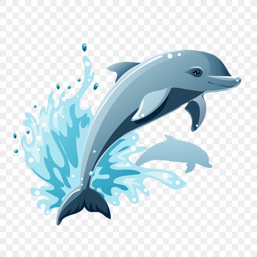 Dolphin Cartoon Drawing Clip Art, PNG, 1772x1772px, Dolphin, Aqua, Art,  Blue, Cartoon Download Free