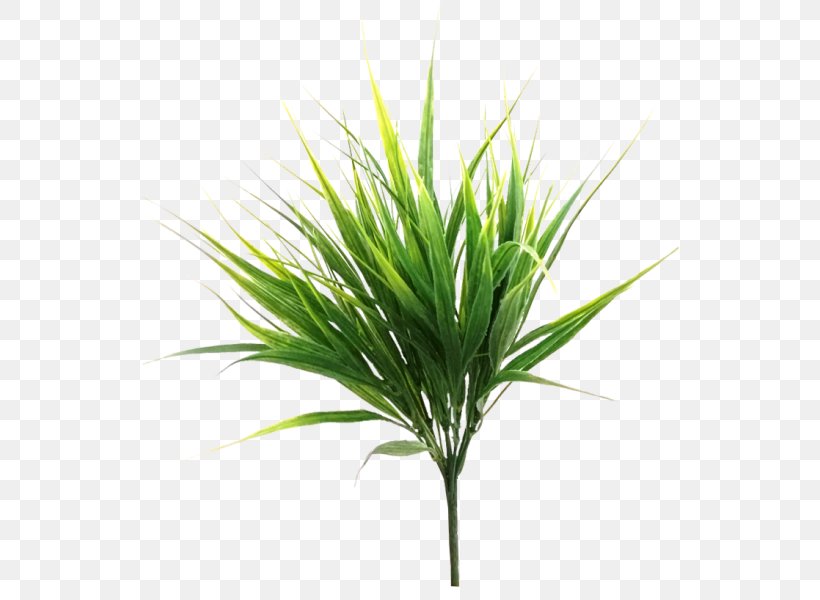 Sweet Grass Shrub Artificial Flower Plant Stem, PNG, 800x600px, Sweet Grass, Artificial Flower, Bamboo, Box, Commodity Download Free