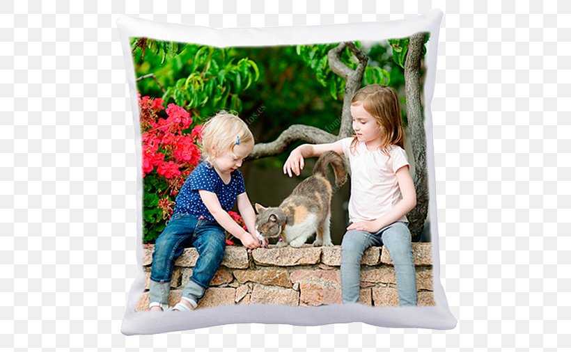 Throw Pillows Cushion Textile Google Play, PNG, 518x506px, Pillow, Cushion, Google Play, Material, Play Download Free