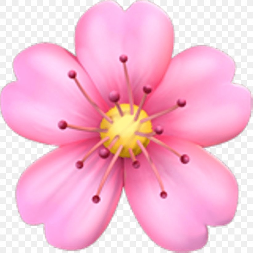 Emoji Pink Flowers Cherry Blossom Sticker, PNG, 1024x1024px, Emoji, Blossom, Cherry, Cherry Blossom, Emojipedia Download Free