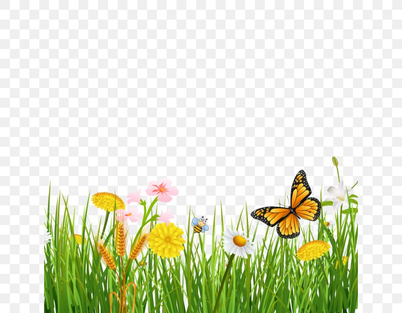 Monarch Butterfly Desktop Wallpaper Clip Art, PNG, 640x640px, Monarch Butterfly, Brush Footed Butterfly, Brushfooted Butterflies, Butterflies And Moths, Butterfly Download Free