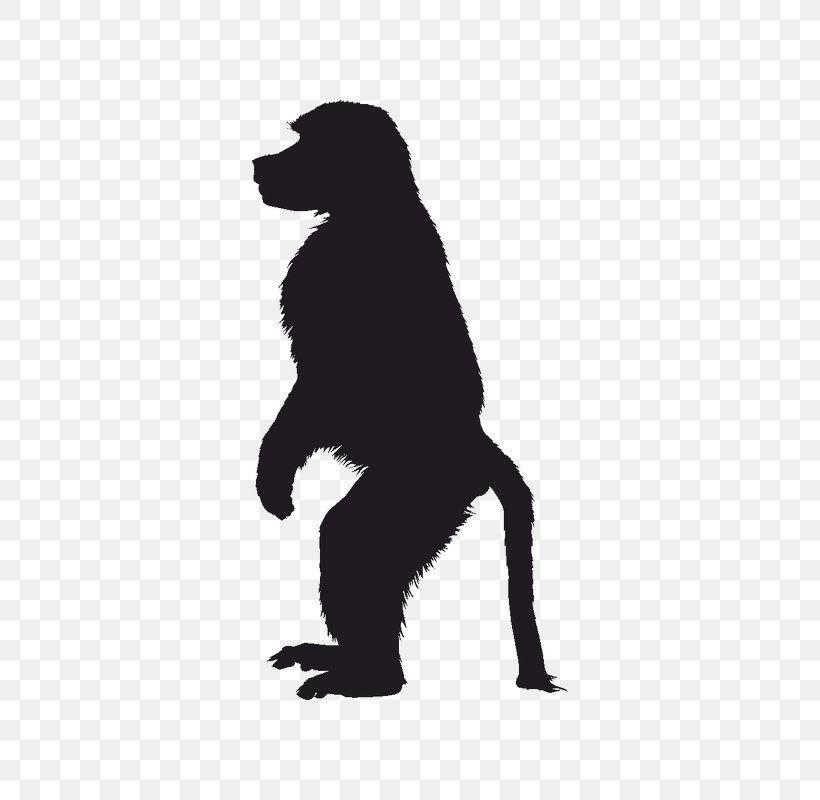 Primate Ape Mandrill Image Monkey, PNG, 800x800px, Primate, Ape, Baboons, Black, Black And White Download Free