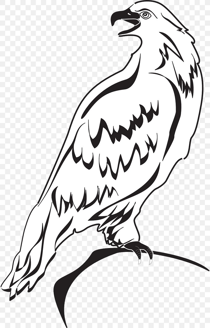 Bald Eagle Clip Art Image, PNG, 816x1280px, Bald Eagle, Accipitriformes, Beak, Bird, Bird Of Prey Download Free