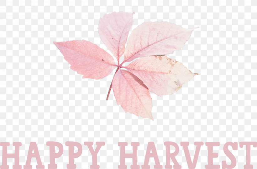 Happy Harvest Harvest Time, PNG, 3000x1982px, Happy Harvest, Biology, Flower, Harvest Time, Leaf Download Free