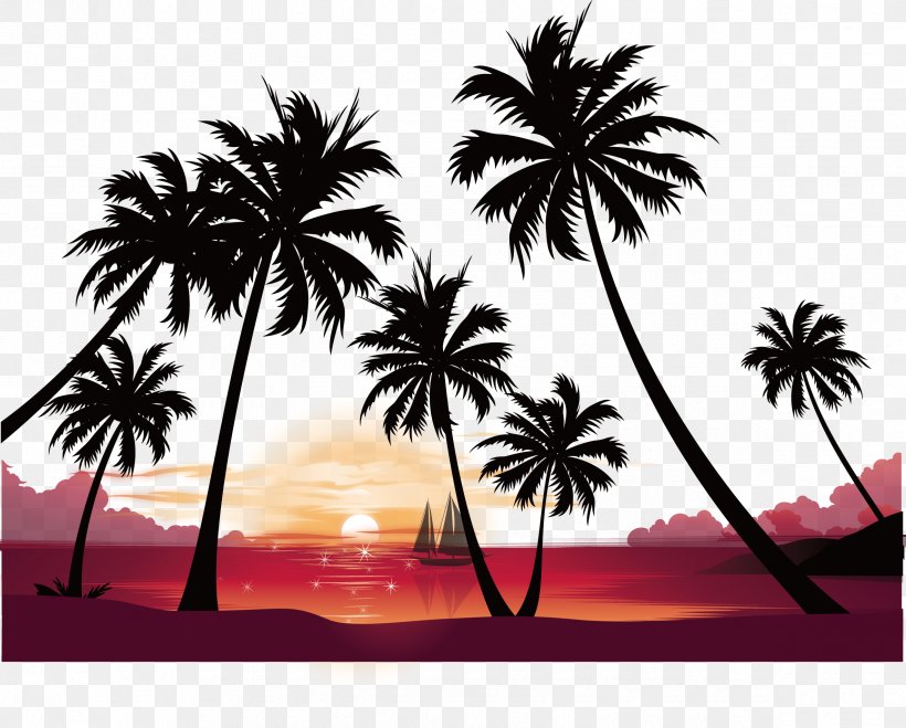 Sunset High-definition Video Image Resolution Wallpaper, PNG, 2370x1907px, 4k Resolution, Screensaver, Arecales, Beach, Black And White Download Free