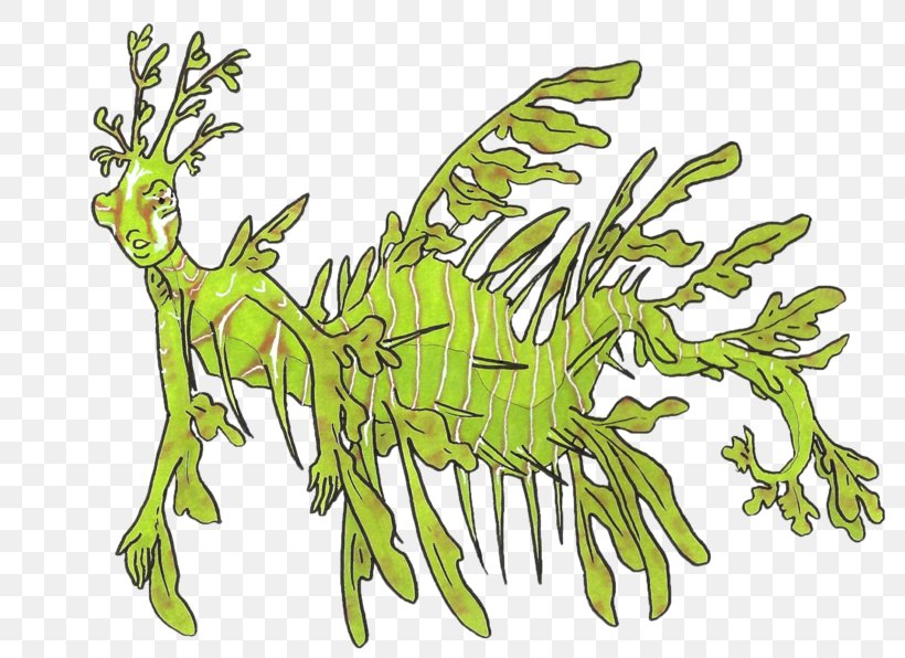 Syngnathidae Seahorse Leafy Seadragon Common Seadragon Vertebrate, PNG, 800x596px, Syngnathidae, Animal, Art, Artist, Branch Download Free