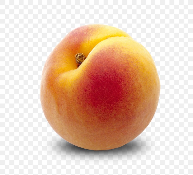 Apricot Fruit Desktop Wallpaper Eating Peach, PNG, 744x744px, Apricot, Apple, Apricot Kernel, Diet Food, Display Resolution Download Free