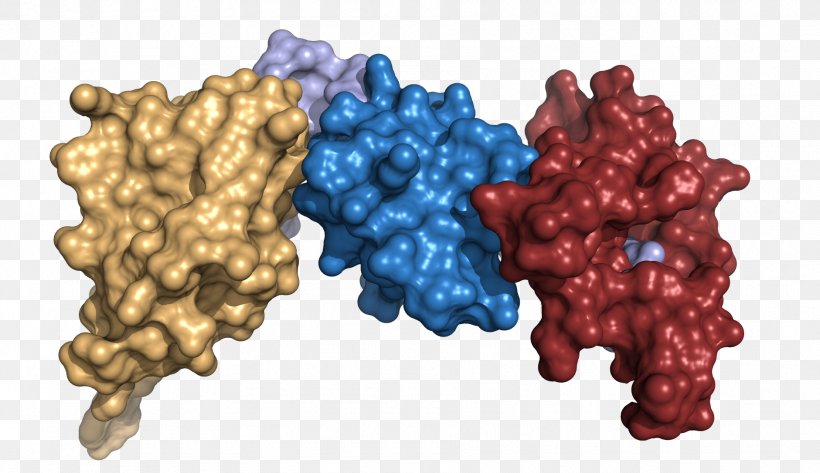 International Genetically Engineered Machine Protein Structure Scaffold Protein Biochemistry, PNG, 1881x1086px, Protein Structure, Architectural Engineering, Biochemistry, Biology, Enzyme Download Free