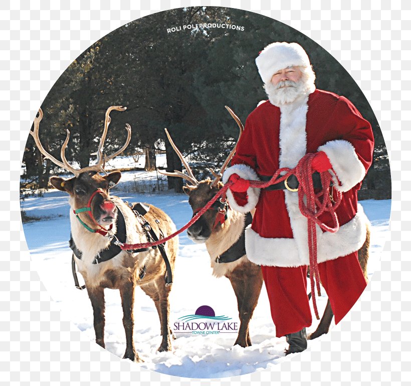 Santa Claus Reindeer Christmas Ornament Santa's Workshop, PNG, 800x769px, Santa Claus, Boy, Child, Christmas, Christmas And Holiday Season Download Free