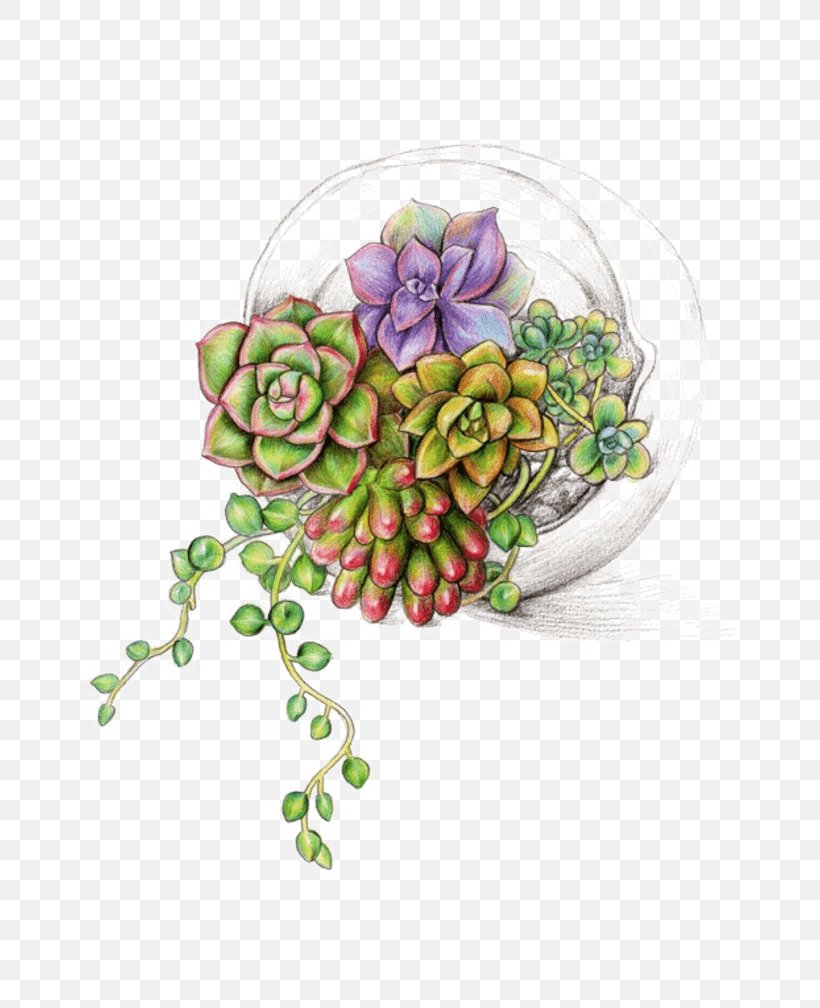 Succulent Plant Image Watercolor Painting Illustration, PNG, 700x1008px, Succulent Plant, Cactus, Cut Flowers, Flower, Flowering Plant Download Free